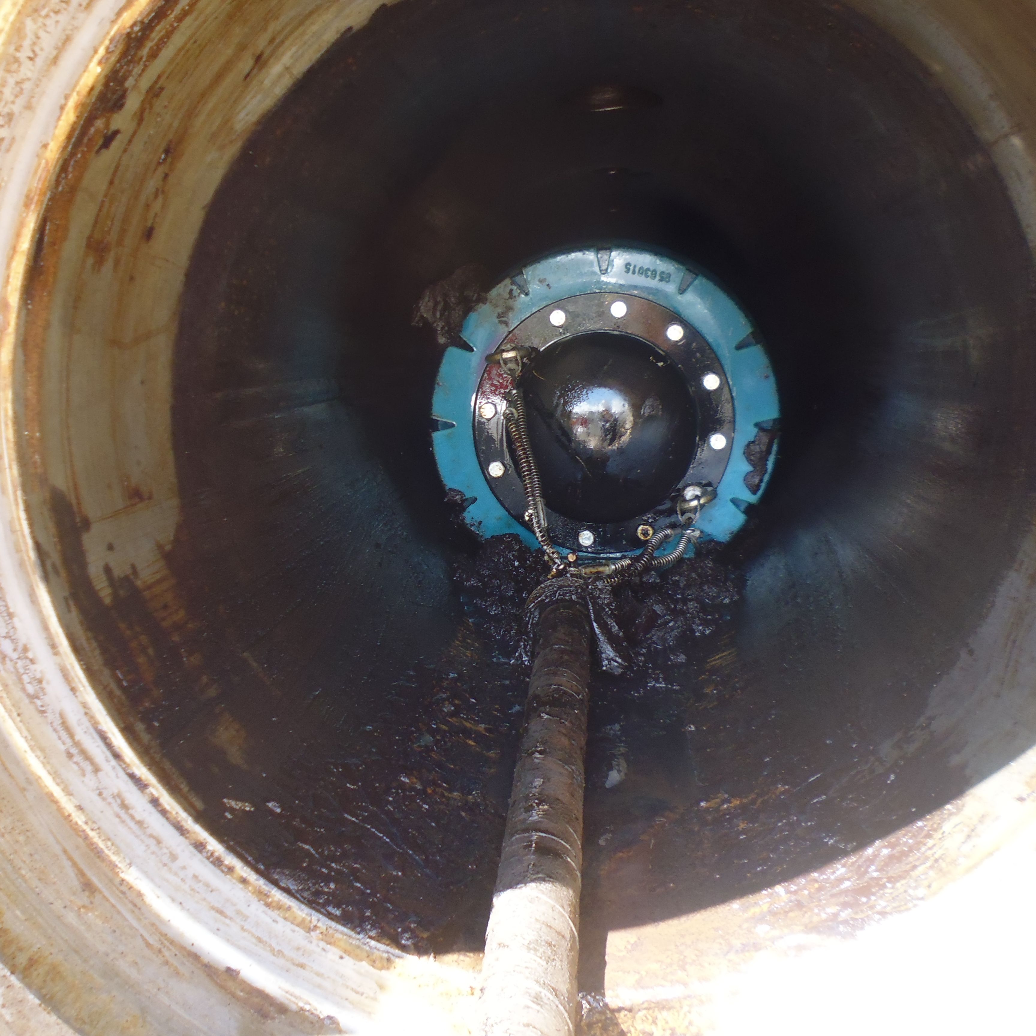 Special Cleaning Programme